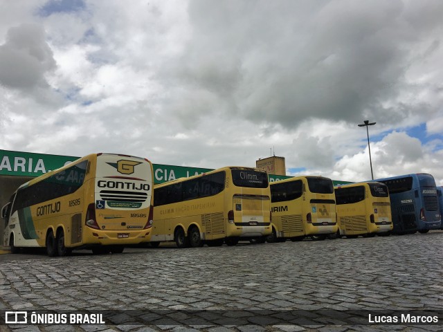 Empresa Gontijo de Transportes 18585 na cidade de Itabuna, Bahia, Brasil, por Lucas Marcos. ID da foto: 9209094.