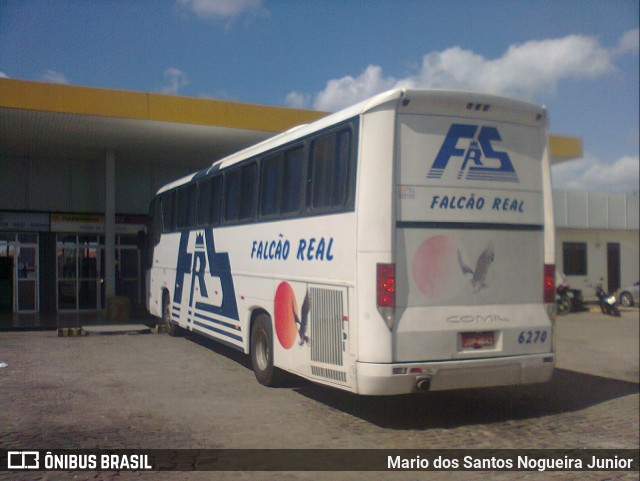 Falcão Real 6270 na cidade de Capim Grosso, Bahia, Brasil, por Mario dos Santos Nogueira Junior. Número da foto: #9209894.