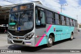 Rosa Turismo Mairiporã 12501 na cidade de Mairiporã, São Paulo, Brasil, por Fabio Lima. Número da foto: #:id.