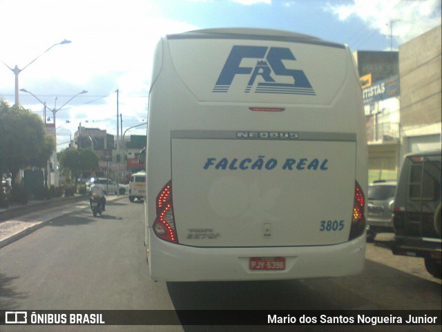 Falcão Real 3805 na cidade de Capim Grosso, Bahia, Brasil, por Mario dos Santos Nogueira Junior. ID da foto: 9212483.