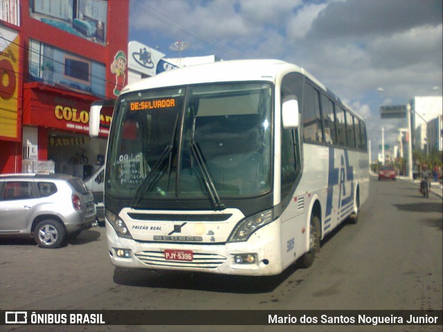 Falcão Real 3805 na cidade de Capim Grosso, Bahia, Brasil, por Mario dos Santos Nogueira Junior. Número da foto: #9212467.