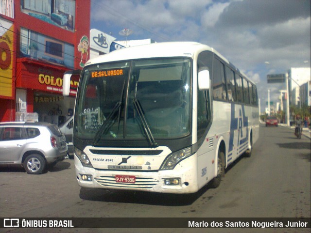 Falcão Real 3805 na cidade de Capim Grosso, Bahia, Brasil, por Mario dos Santos Nogueira Junior. ID da foto: 9212467.