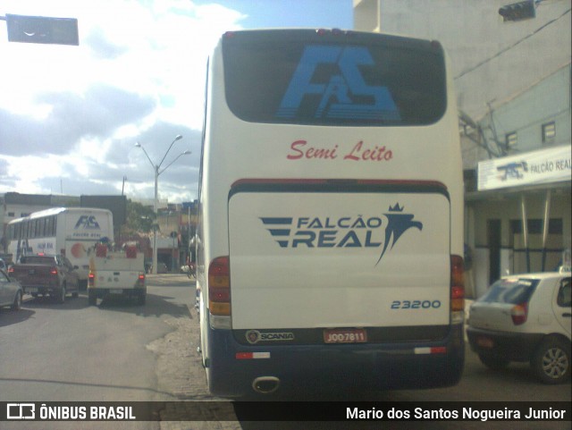 Falcão Real 23200 na cidade de Capim Grosso, Bahia, Brasil, por Mario dos Santos Nogueira Junior. ID da foto: 9212450.