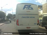 Falcão Real 3805 na cidade de Capim Grosso, Bahia, Brasil, por Mario dos Santos Nogueira Junior. Número da foto: #9212483.