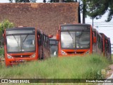 Sucata e Desmanches BD138 na cidade de Curitiba, Paraná, Brasil, por Ricardo Fontes Moro. Número da foto: #:id.