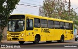 Pruden Express 1350 na cidade de Presidente Prudente, São Paulo, Brasil, por Francisco Ivano. Número da foto: #9212421.