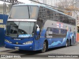 Pullman Setter  na cidade de Santiago, Santiago, Metropolitana de Santiago, Chile, por Jeremias Alejandro Medina Ramirez. Número da foto: #9215334.