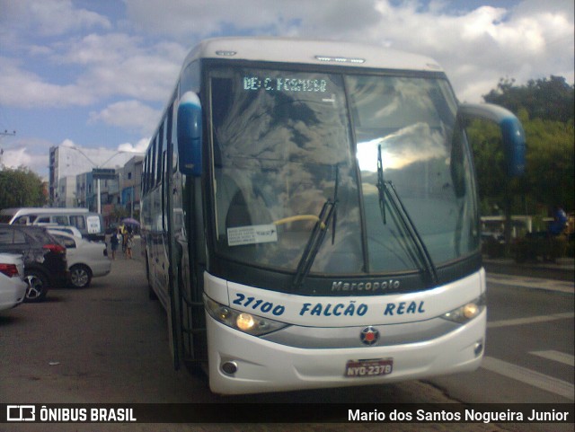 Falcão Real 21100 na cidade de Capim Grosso, Bahia, Brasil, por Mario dos Santos Nogueira Junior. ID da foto: 9217317.