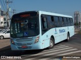 Transcal Sul Transportes Coletivos 24172 na cidade de Cachoeirinha, Rio Grande do Sul, Brasil, por Maurício Rodrigues. Número da foto: #:id.