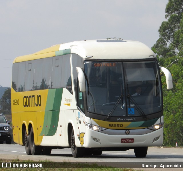Empresa Gontijo de Transportes 18950 na cidade de Carmópolis de Minas, Minas Gerais, Brasil, por Rodrigo  Aparecido. Número da foto: #9221403.