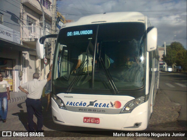 Falcão Real 3000 na cidade de Capim Grosso, Bahia, Brasil, por Mario dos Santos Nogueira Junior. Número da foto: #9220241.