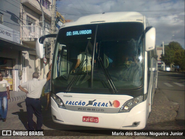 Falcão Real 3000 na cidade de Capim Grosso, Bahia, Brasil, por Mario dos Santos Nogueira Junior. ID da foto: 9220241.