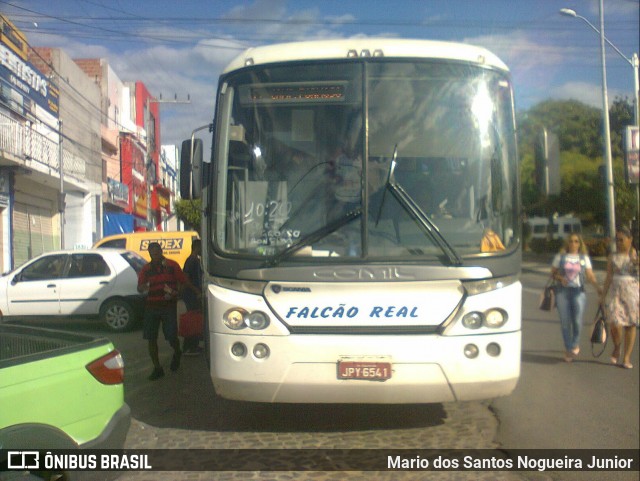 Falcão Real 1130 na cidade de Capim Grosso, Bahia, Brasil, por Mario dos Santos Nogueira Junior. ID da foto: 9220211.