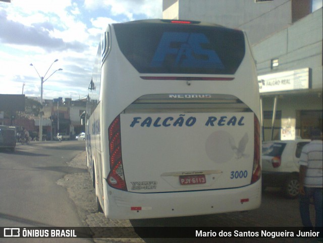 Falcão Real 3000 na cidade de Capim Grosso, Bahia, Brasil, por Mario dos Santos Nogueira Junior. ID da foto: 9220245.