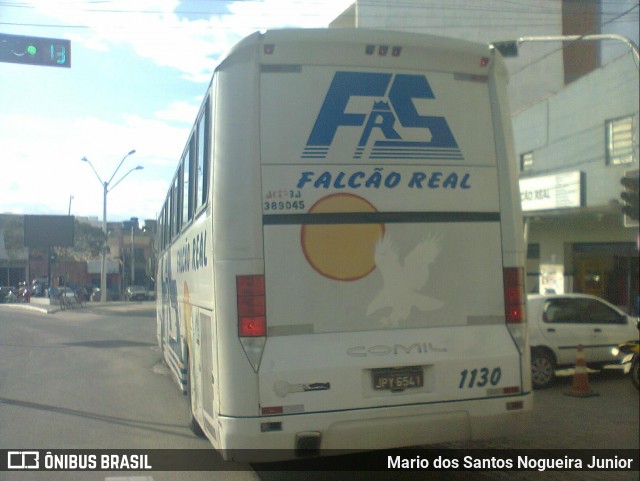 Falcão Real 1130 na cidade de Capim Grosso, Bahia, Brasil, por Mario dos Santos Nogueira Junior. ID da foto: 9220238.