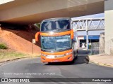 Catedral Turismo 20315 na cidade de Campinas, São Paulo, Brasil, por Danilo Augusto. Número da foto: #9220686.