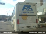 Falcão Real 1130 na cidade de Capim Grosso, Bahia, Brasil, por Mario dos Santos Nogueira Junior. Número da foto: #9220238.