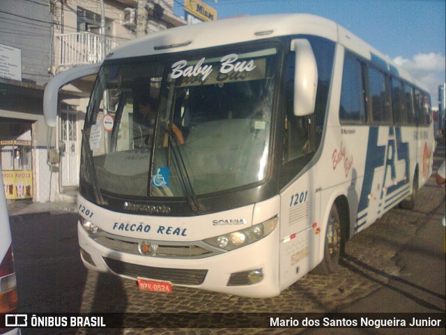 Falcão Real 1201 na cidade de Capim Grosso, Bahia, Brasil, por Mario dos Santos Nogueira Junior. ID da foto: 9223356.