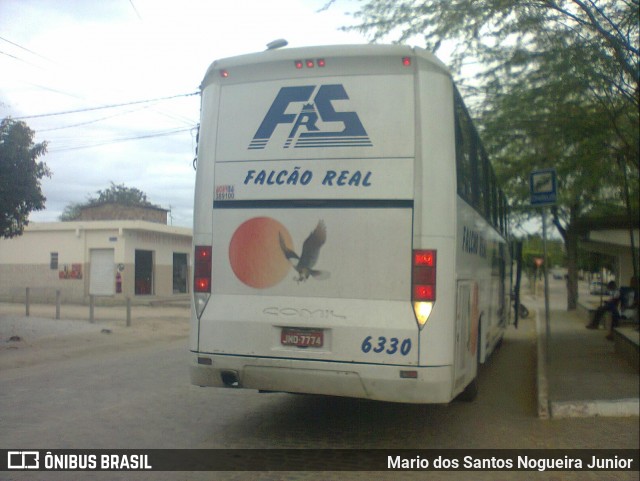 Falcão Real 6330 na cidade de Piritiba, Bahia, Brasil, por Mario dos Santos Nogueira Junior. ID da foto: 9140689.