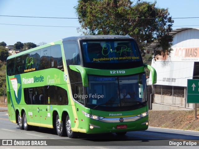 Pássaro Verde 12119 na cidade de Formiga, Minas Gerais, Brasil, por Diego Felipe. Número da foto: #9142781.