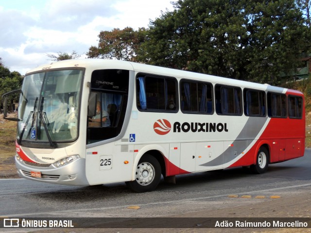 Rouxinol 225 na cidade de Belo Horizonte, Minas Gerais, Brasil, por Adão Raimundo Marcelino. ID da foto: 9151492.