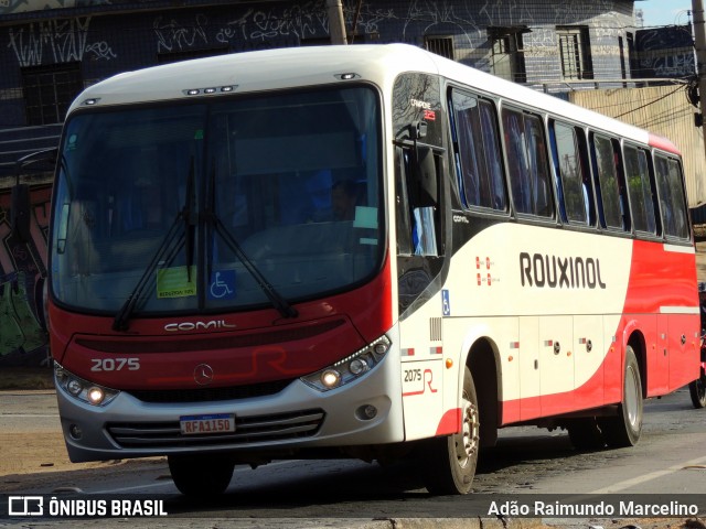 Rouxinol 2075 na cidade de Belo Horizonte, Minas Gerais, Brasil, por Adão Raimundo Marcelino. Número da foto: #9151450.