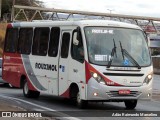 Rouxinol 1640 na cidade de Belo Horizonte, Minas Gerais, Brasil, por Adão Raimundo Marcelino. Número da foto: #9151544.
