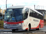 Rouxinol 2112 na cidade de Belo Horizonte, Minas Gerais, Brasil, por Adão Raimundo Marcelino. Número da foto: #:id.