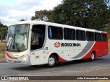 Rouxinol 225 na cidade de Belo Horizonte, Minas Gerais, Brasil, por Adão Raimundo Marcelino. Número da foto: #9151492.