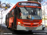 Viação Santa Edwiges 69216 na cidade de Belo Horizonte, Minas Gerais, Brasil, por Adão Raimundo Marcelino. Número da foto: #9158208.