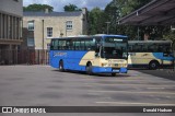 Go Whippet  na cidade de Cambridge, Cambridgeshire, Inglaterra, por Donald Hudson. Número da foto: #9256844.