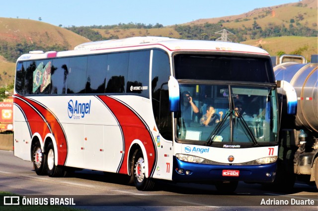 Angel Turismo 77 na cidade de Roseira, São Paulo, Brasil, por Adriano Duarte. ID da foto: 9263429.