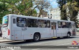 Araucária Transportes Coletivos LL319 na cidade de Curitiba, Paraná, Brasil, por Claudio Luiz. Número da foto: #9267067.
