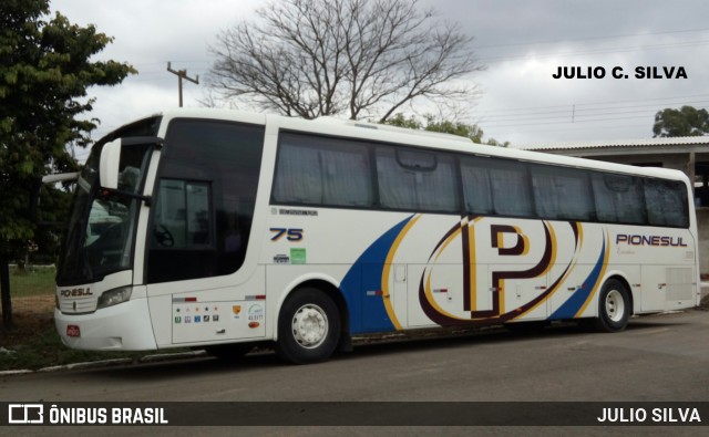 Empresa de Transportes Pionesul 75 na cidade de Esteio, Rio Grande do Sul, Brasil, por JULIO SILVA. Número da foto: #9278763.