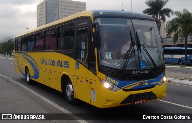 Viação Lírio dos Vales 11100 na cidade de Cariacica, Espírito Santo, Brasil, por Everton Costa Goltara. Número da foto: #9279825.