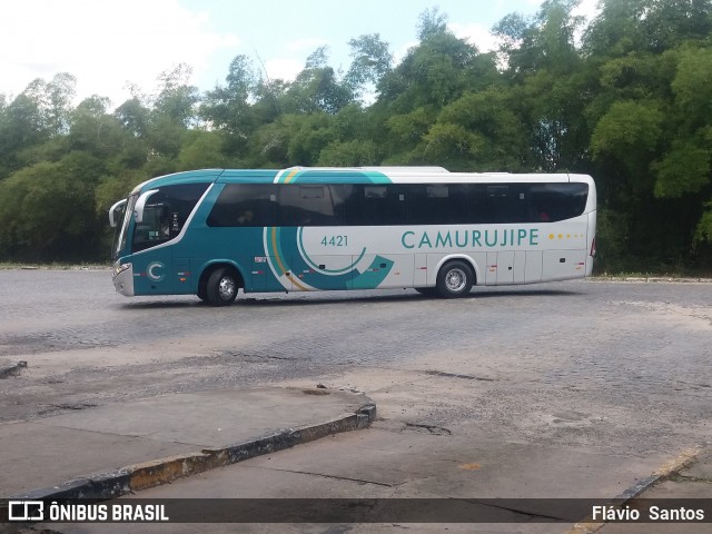 Auto Viação Camurujipe 4421 na cidade de Cruz das Almas, Bahia, Brasil, por Flávio  Santos. Número da foto: #9280020.