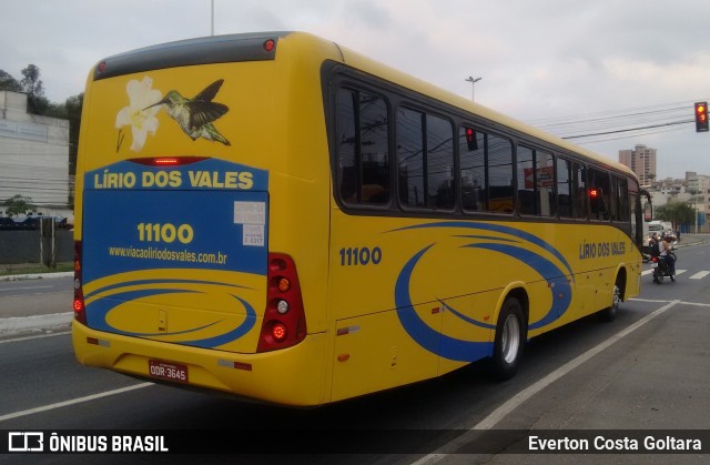 Viação Lírio dos Vales 11100 na cidade de Cariacica, Espírito Santo, Brasil, por Everton Costa Goltara. Número da foto: #9279826.
