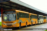 Transportes Coletivos Nossa Senhora da Piedade 463 na cidade de Campo Largo, Paraná, Brasil, por Alessandro Fracaro Chibior. Número da foto: #:id.