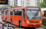 Transporte Coletivo Glória BD141 na cidade de Curitiba, Paraná, Brasil, por Claudio Luiz. ID da foto: :id.