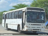 Prefeitura Municipal de Vicência 354 na cidade de Nazaré da Mata, Pernambuco, Brasil, por Edjunior Sebastião. Número da foto: #9285821.