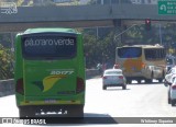 Pássaro Verde 20177 na cidade de Belo Horizonte, Minas Gerais, Brasil, por Whitiney Siqueira. ID da foto: :id.