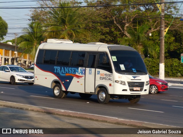 Transena 14015087 na cidade de Manaus, Amazonas, Brasil, por Jeison Gabriel Souza. ID da foto: 9295043.