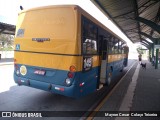 Sharp Transportes 145 na cidade de Araucária, Paraná, Brasil, por Mayron Cesar  Colaço Teixeira. Número da foto: #9293512.