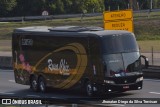Rosa Chic Turismo 8010 na cidade de Lavrinhas, São Paulo, Brasil, por Jhonatan Diego da Silva Trevisan. Número da foto: #:id.