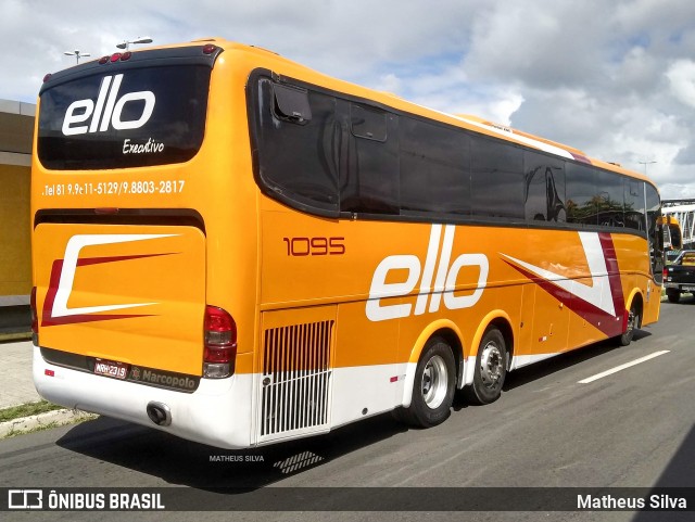 Ello 1095 na cidade de Paulista, Pernambuco, Brasil, por Matheus Silva. Número da foto: #9300364.