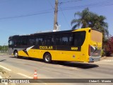 Sancetur - Sou Indaiatuba 1809 na cidade de Indaiatuba, São Paulo, Brasil, por Cleber C.  Moreira. Número da foto: #9299355.