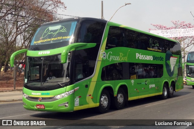 Pássaro Verde 12119 na cidade de Belo Horizonte, Minas Gerais, Brasil, por Luciano Formiga. Número da foto: #9303500.