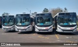 Vitória 7491 na cidade de Botucatu, São Paulo, Brasil, por Everaldo Bordini. Número da foto: #:id.