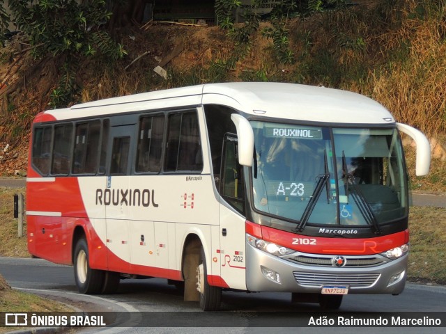 Rouxinol 2102 na cidade de Belo Horizonte, Minas Gerais, Brasil, por Adão Raimundo Marcelino. ID da foto: 9307789.