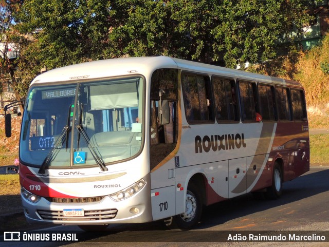 Rouxinol 1710 na cidade de Belo Horizonte, Minas Gerais, Brasil, por Adão Raimundo Marcelino. ID da foto: 9307511.